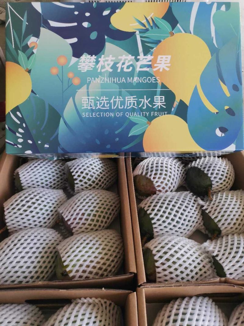 四川攀枝花凯特芒，现货上市，货源充足，提供分拣包装运输服务