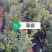 优质蓝莓苗品种多基地直销现挖现发包成活