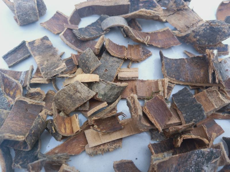 秦皮陕西秦岭高含量干品