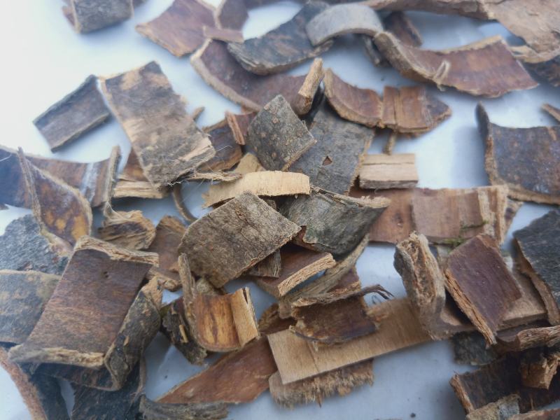 秦皮陕西秦岭高含量干品