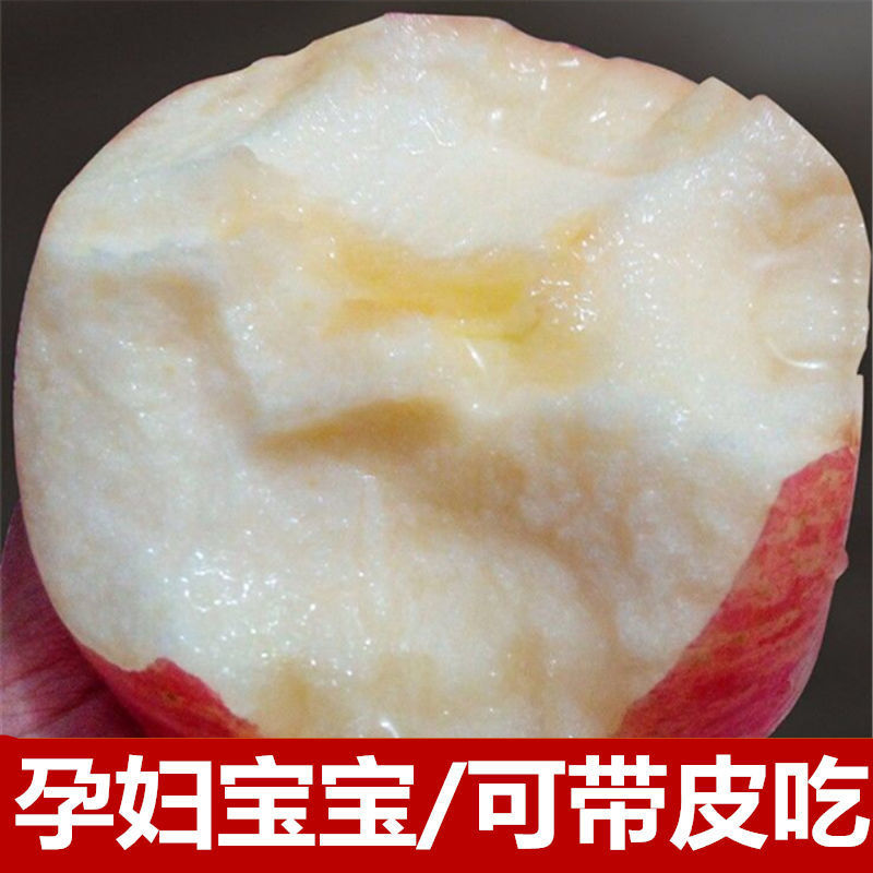 新鲜苹果，现摘现发！保鲜发货，包邮到家！