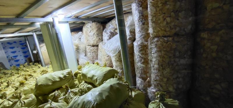 四川特产春笋干春笋尖熟片无硫有检验报告农户自营