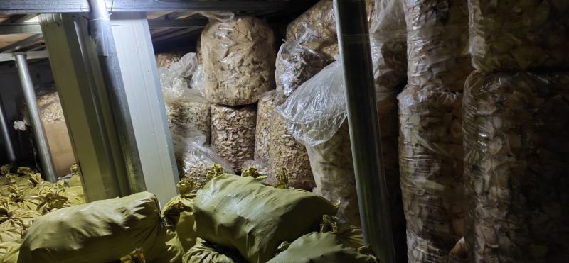 四川特产春笋干春笋尖熟片无硫有检验报告农户自营