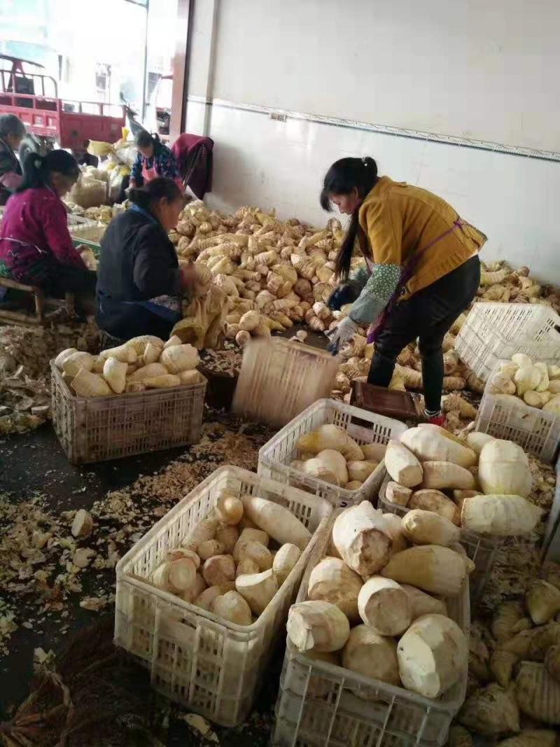 四川特产春笋干春笋尖熟片无硫有检验报告农户自营
