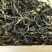 广东特产英德红茶英红九号2020新茶散装功夫茶白露茶
