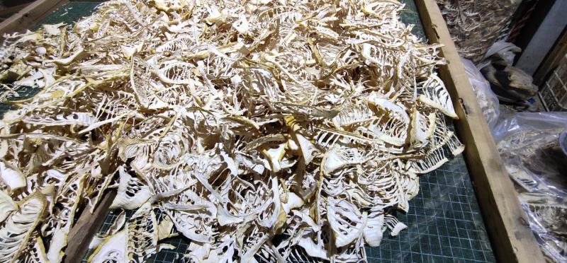 四川特产春笋干春笋尖生片农户自营现货批发
