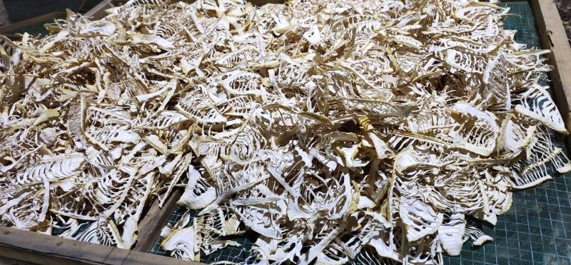 四川特产春笋干春笋尖生片农户自营现货批发