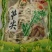 四川特产春笋干春笋尖生片农户自营现货批发