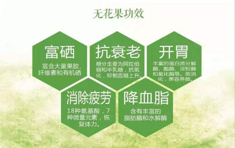 波姬红布莱瑞可青皮无花果苗包品种当年结果事宜南北方种植