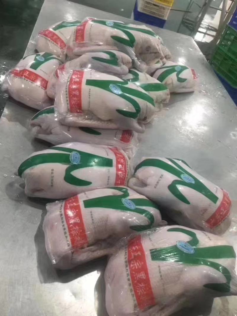 广东黑棕鹅，正宗黑棕鹅，新鲜鹅条保质保量量大价优