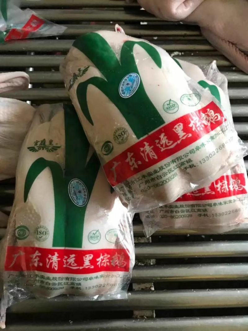 广东黑棕鹅，正宗黑棕鹅，新鲜鹅条保质保量量大价优