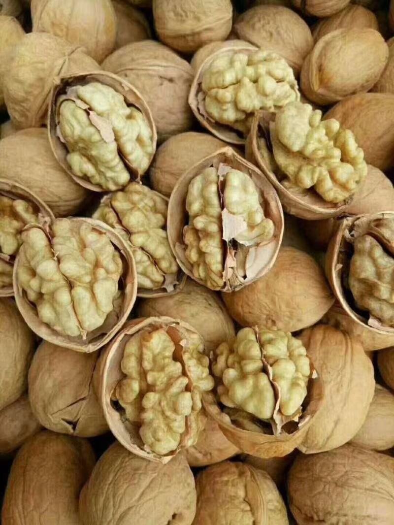 核桃薄皮新疆阿克苏185纸皮自产自销量大优惠