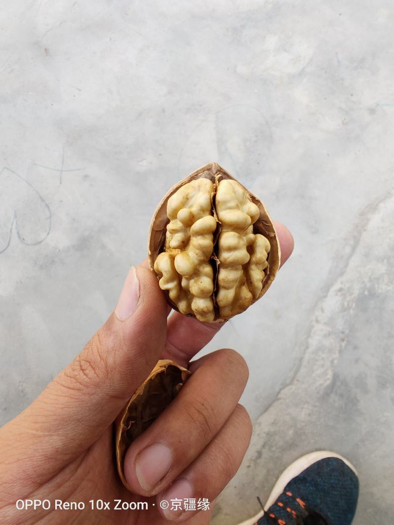 核桃薄皮新疆阿克苏185纸皮自产自销量大优惠