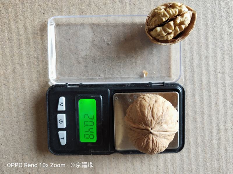 核桃薄皮新疆阿克苏185纸皮自产自销量大优惠