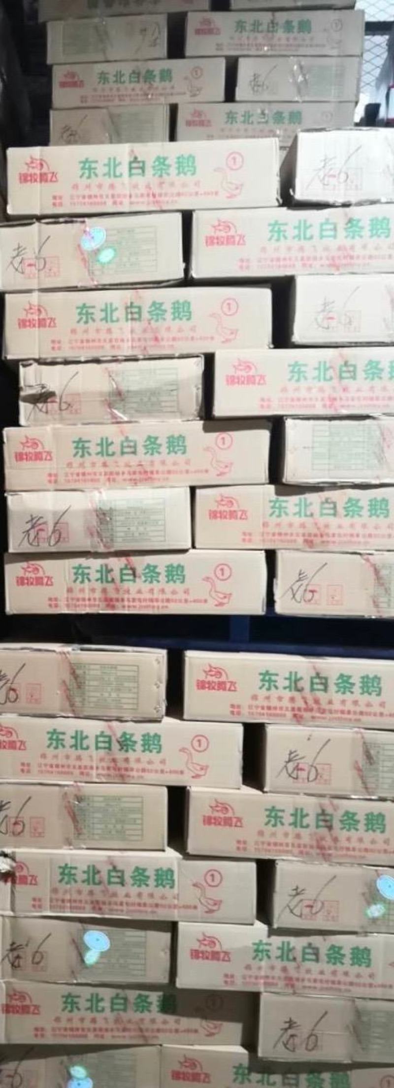 老鹅，老鹅白条，鹅肉白条鹅，老鹅批发，量大优惠