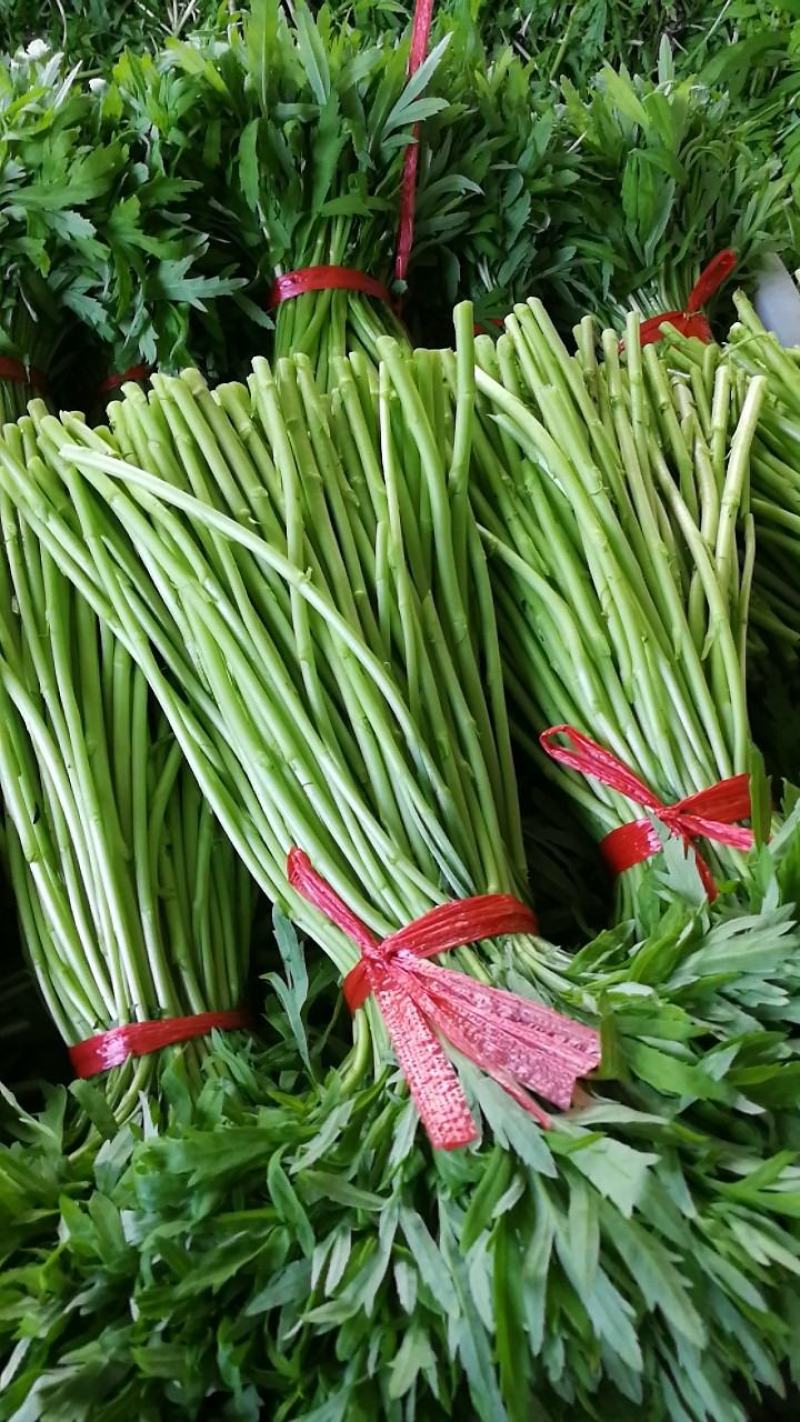 精品蔡甸黎蒿泥蒿芦蒿