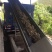 大量新鲜散装肉鸡粪出售