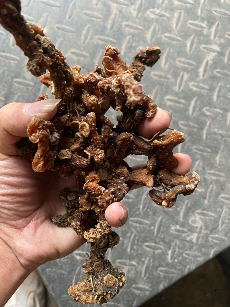 一手货源。河源本地三蒸三晒超香野生黄精干货真价实