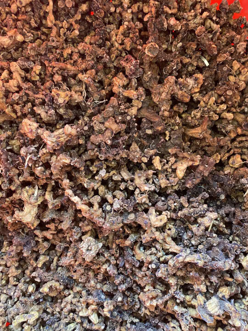 一手货源。河源本地三蒸三晒超香野生黄精干货真价实