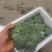 『精品』西蓝花，货源充足，大量现货，可以视频看货，