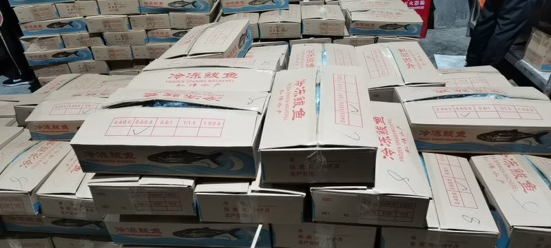 一手货源自己加工鲅鱼