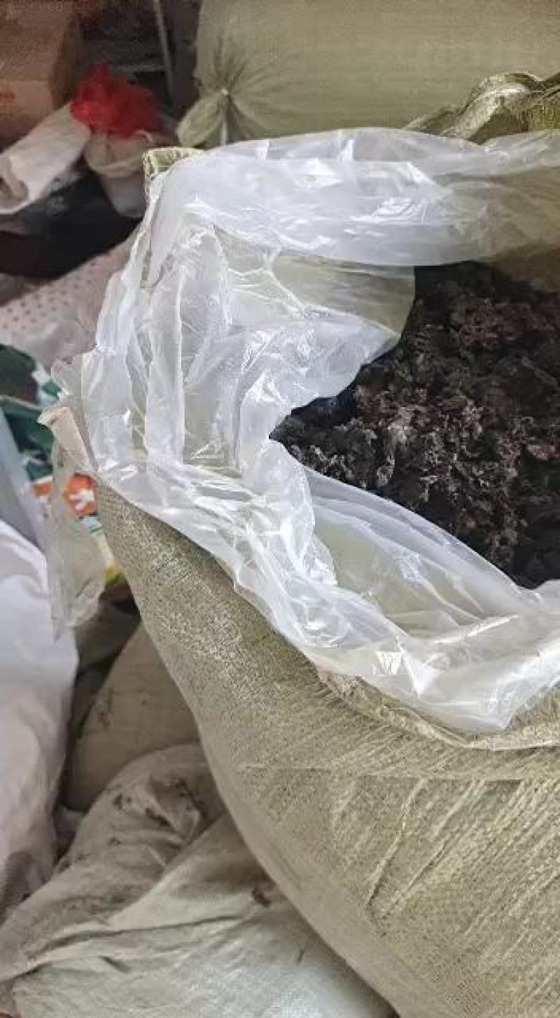《地皮菜》野生地皮菜/多次过筛收选干净无杂，电商货，泡货
