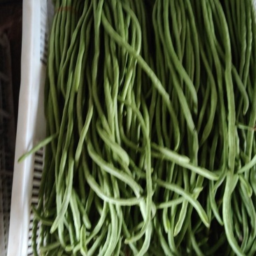 豆角长豆角豇豆量大优惠
