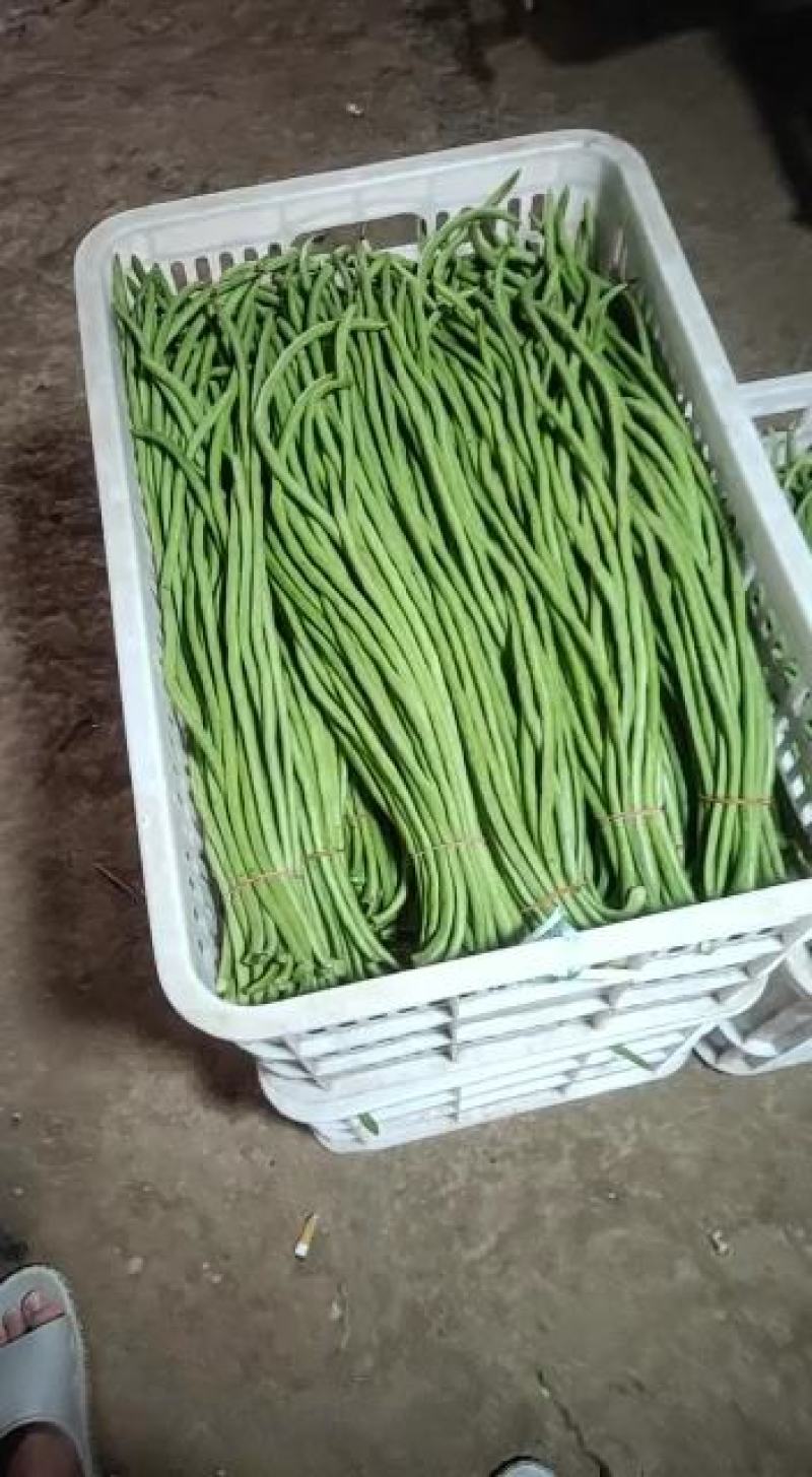 豆角长豆角豇豆量大优惠