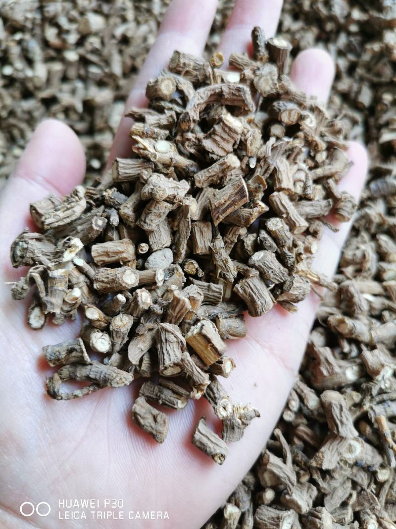 柴胡藏柴胡包邮发货品质好产地直发可常年供应