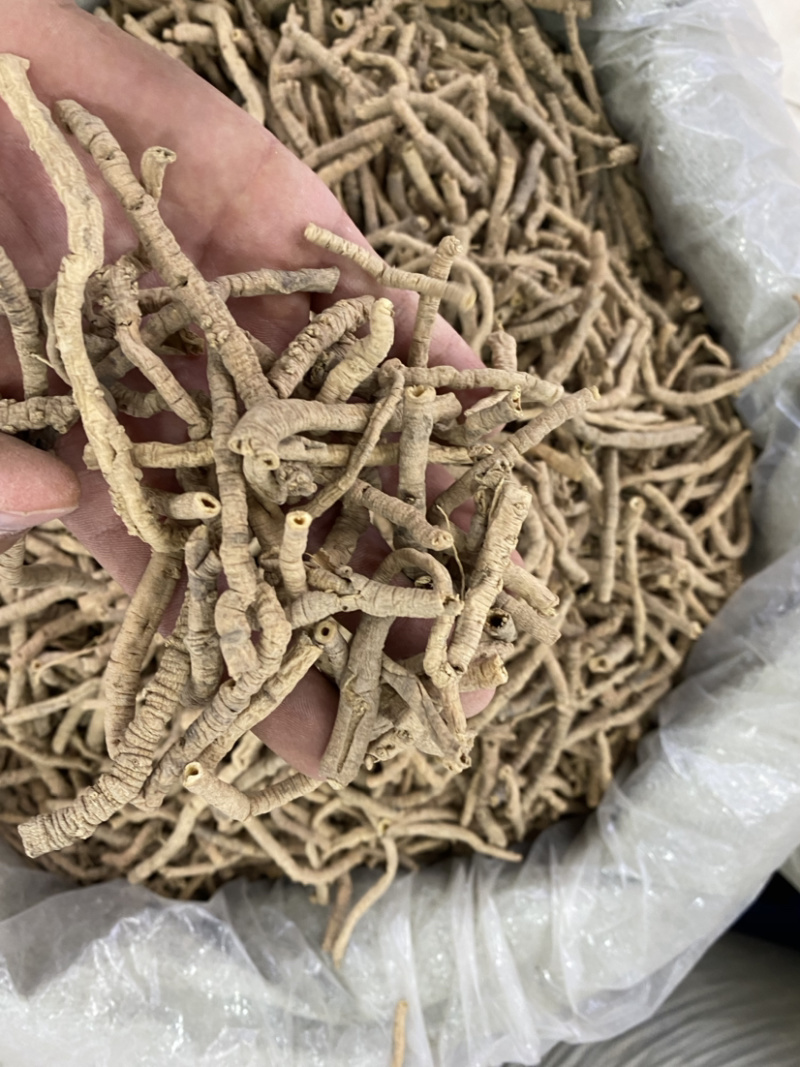 远志精品远志肉远志筒炙远志批发各种中药材