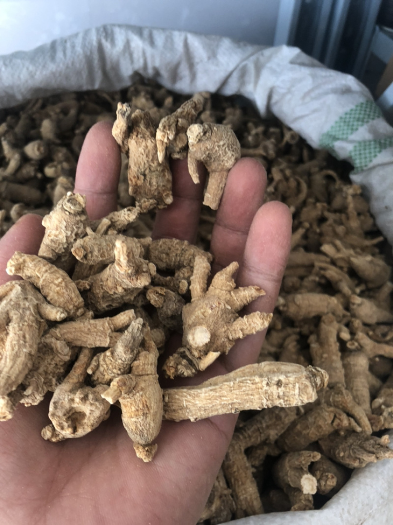 美国进口野生原尾西洋参段珍珠花旗参5克小泡粒头