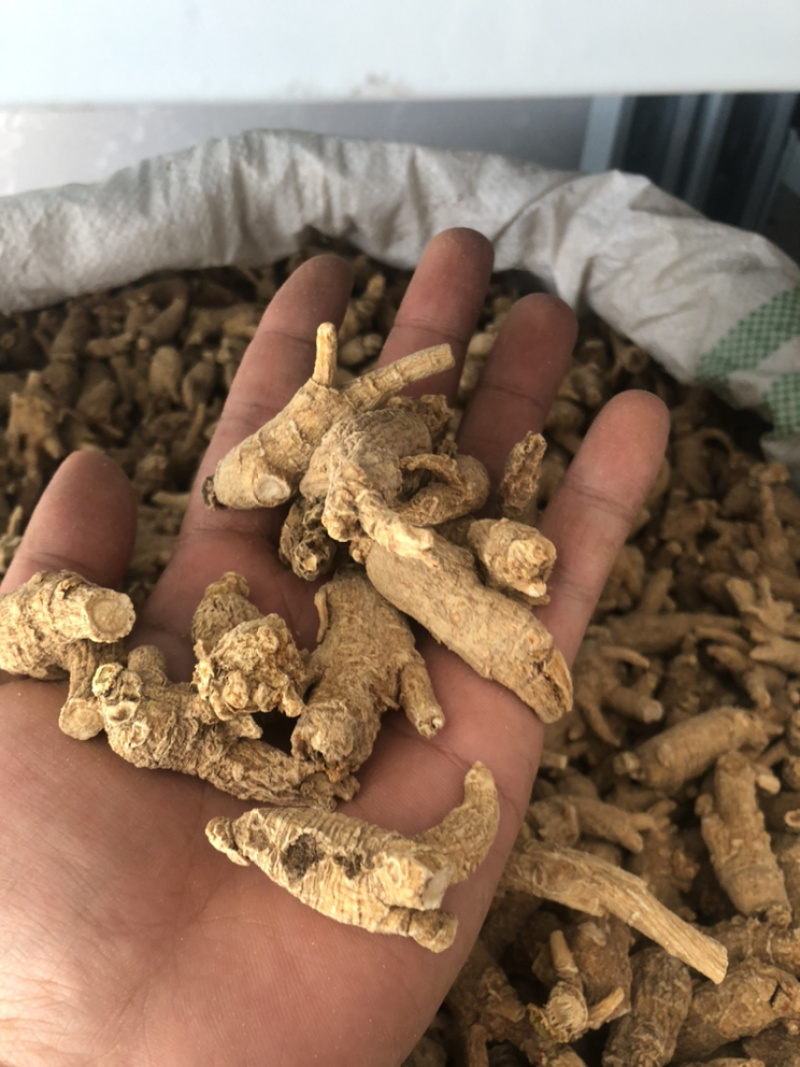 美国进口野生原尾西洋参段珍珠花旗参5克小泡粒头