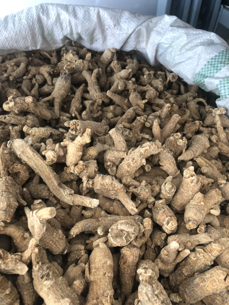 美国进口野生原尾西洋参段珍珠花旗参5克小泡粒头