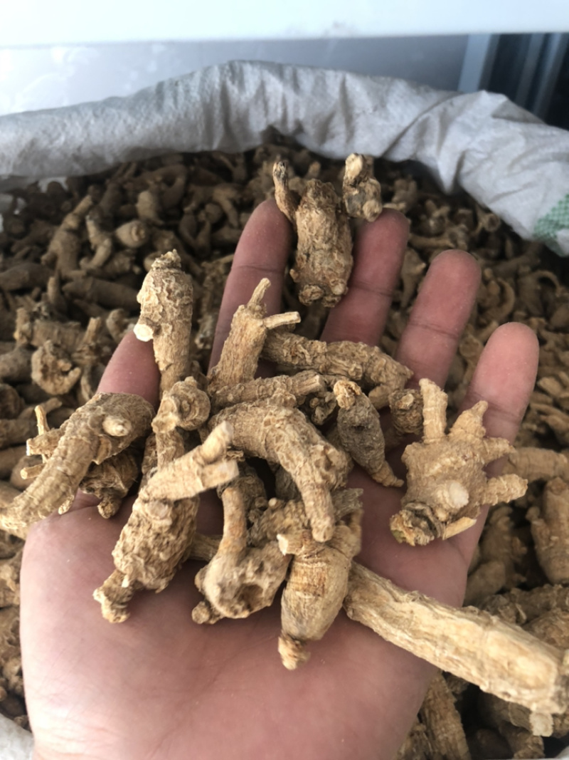 美国进口野生原尾西洋参段珍珠花旗参5克小泡粒头