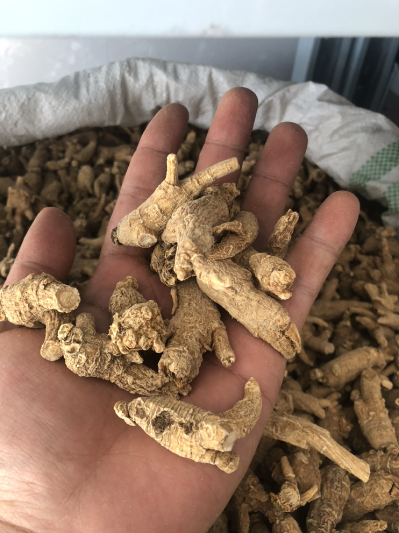 美国进口野生原尾西洋参段珍珠花旗参5克小泡粒头