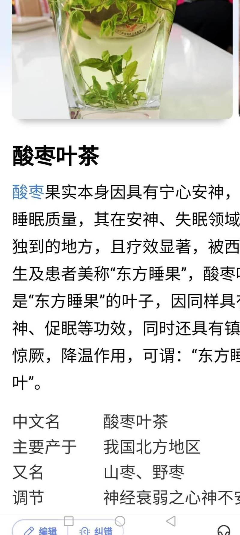 酸枣叶野生零售批发酸枣叶茶2斤起批省内包邮产地直发