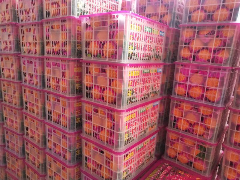正宗爱媛果冻橙，耙耙柑，不知火高中低各等级优质果品