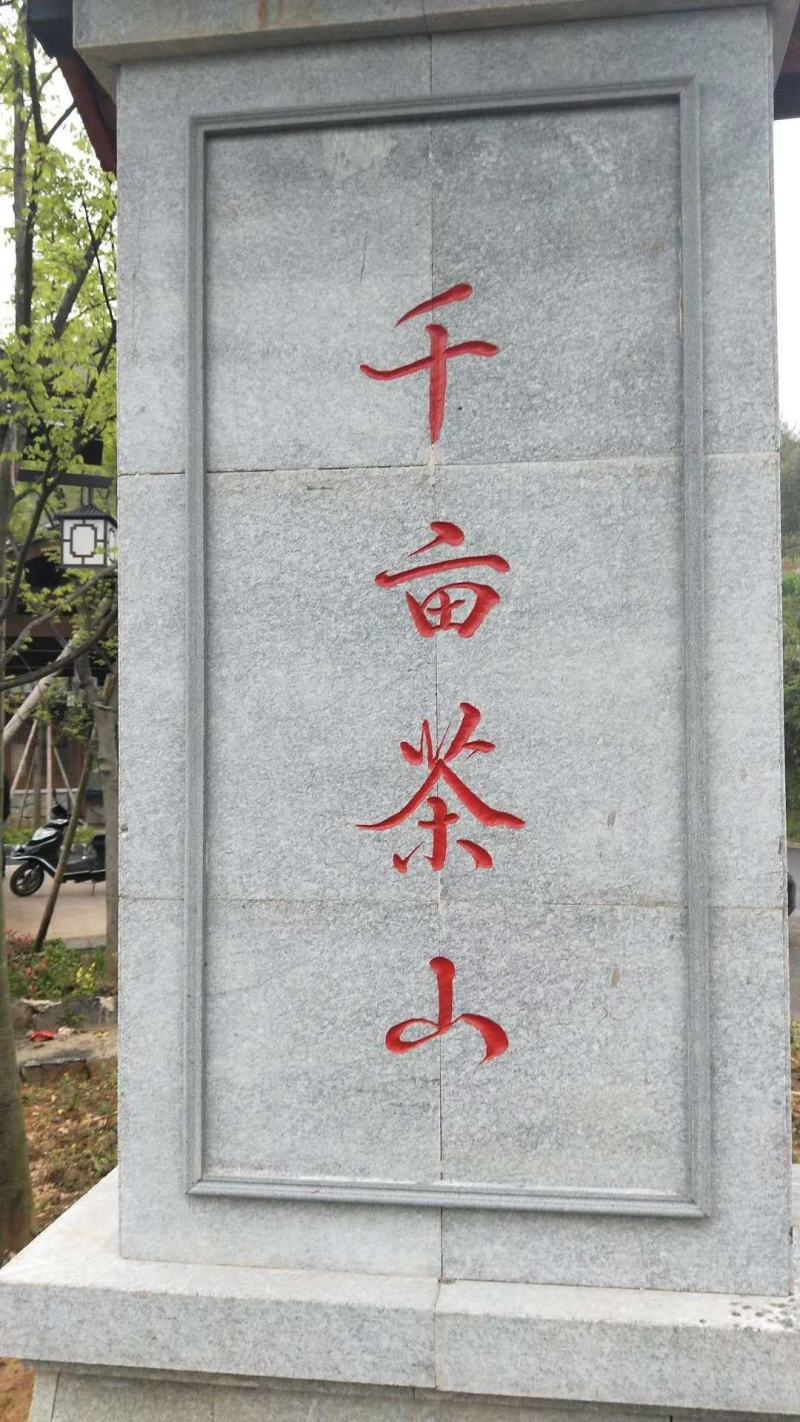 正宗的西湖龙井43，自家种的，手工炒制