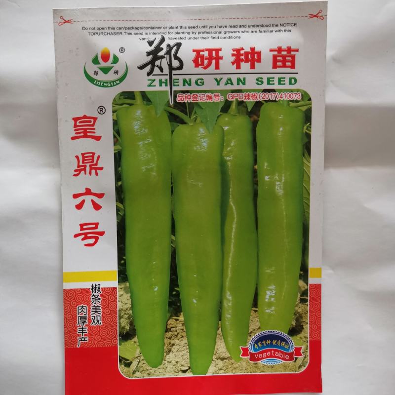 【精】郑研查理黄皮辣椒种子，皇鼎六号，苏润大椒