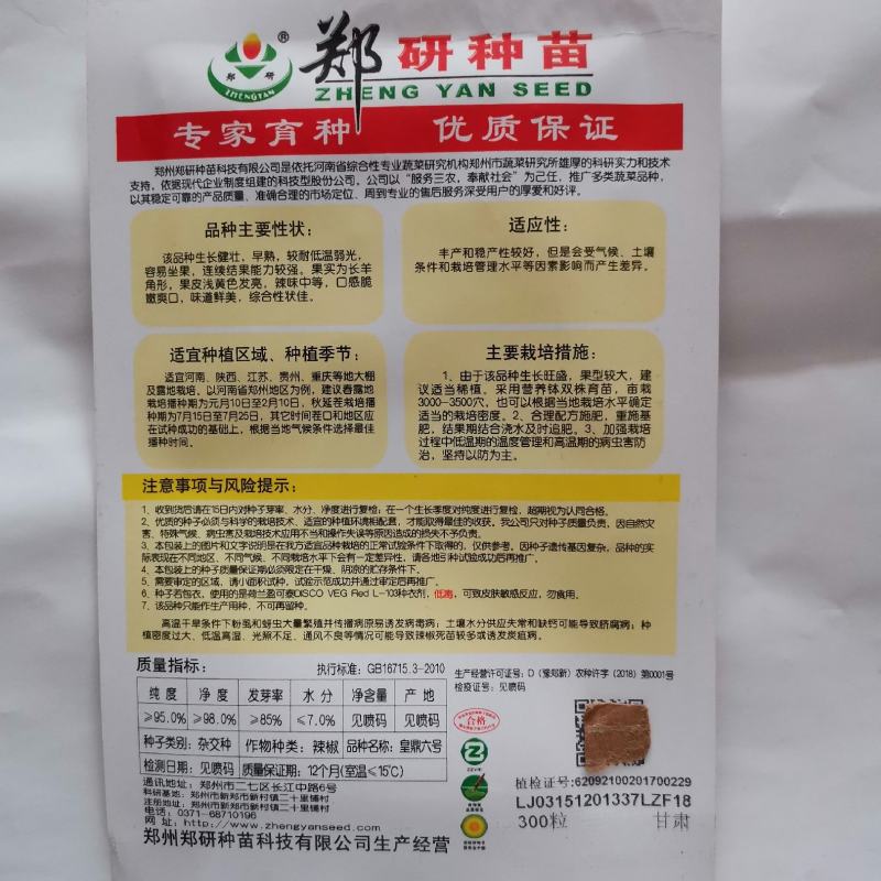 【精】郑研查理黄皮辣椒种子，皇鼎六号，苏润大椒