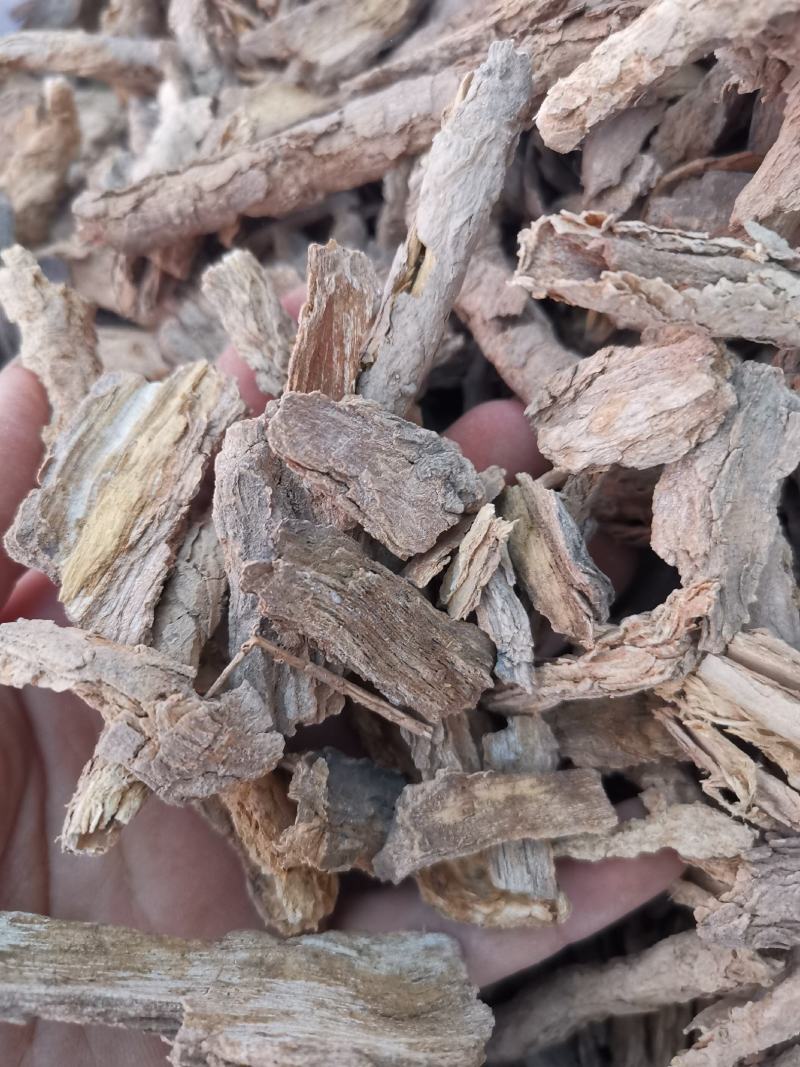地骨皮批发地骨皮规格齐产地货源充足量大从优