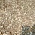 进口/国产阳春山奈沙姜产地直销各种规格供应各大批发市场