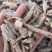 地骨皮批发地骨皮规格齐产地货源充足量大从优
