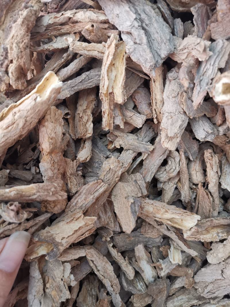 地骨皮批发地骨皮规格齐产地货源充足量大从优