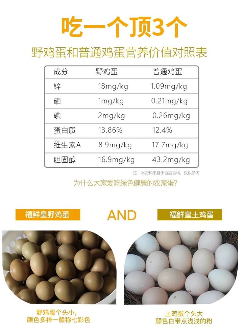活禽七彩山鸡/新鲜山鸡蛋/山鸡蛋
