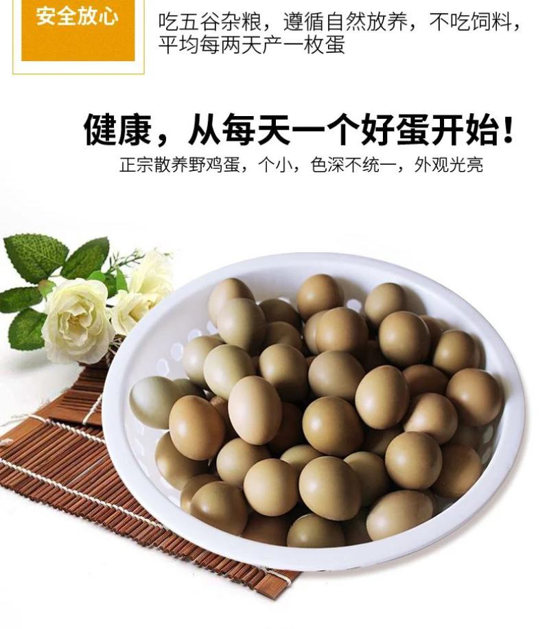 活禽七彩山鸡/新鲜山鸡蛋/山鸡蛋