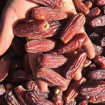 新疆优质椰枣长期发货保证质量