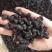 【文斌药业】桑葚自然风干干药食两用颗粒饱满个头大