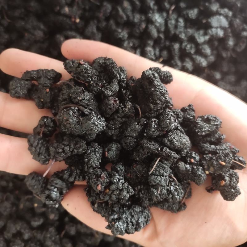 【文斌药业】桑葚自然风干干药食两用颗粒饱满个头大