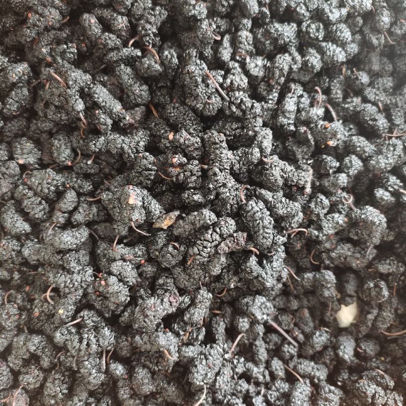 【文斌药业】桑葚自然风干干药食两用颗粒饱满个头大